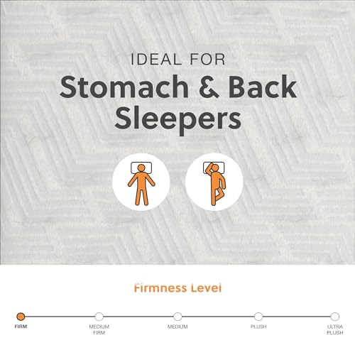 Signature Design By Ashley Twin Size Comfort Plus 10 Inch Hybrid Mattress With Lumbar Support Gel Memory Foam