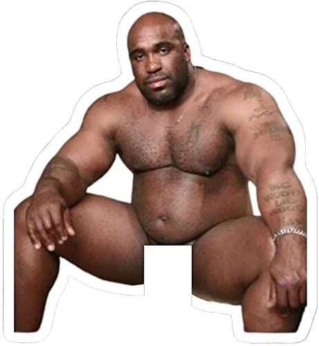 10Pcs Funny Barry Wood Light Switch Sticker Decals, Waterproof Vinyl Prank Joking Wall Stickers For Living Room, Car, Laptop Ski