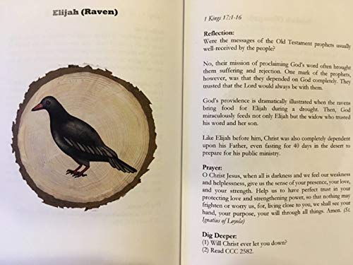 Catholic to the Max | Jesse Tree Set: Book and 27 Ornaments Bundled | Religious Advent Calendar Countdown to Christmas