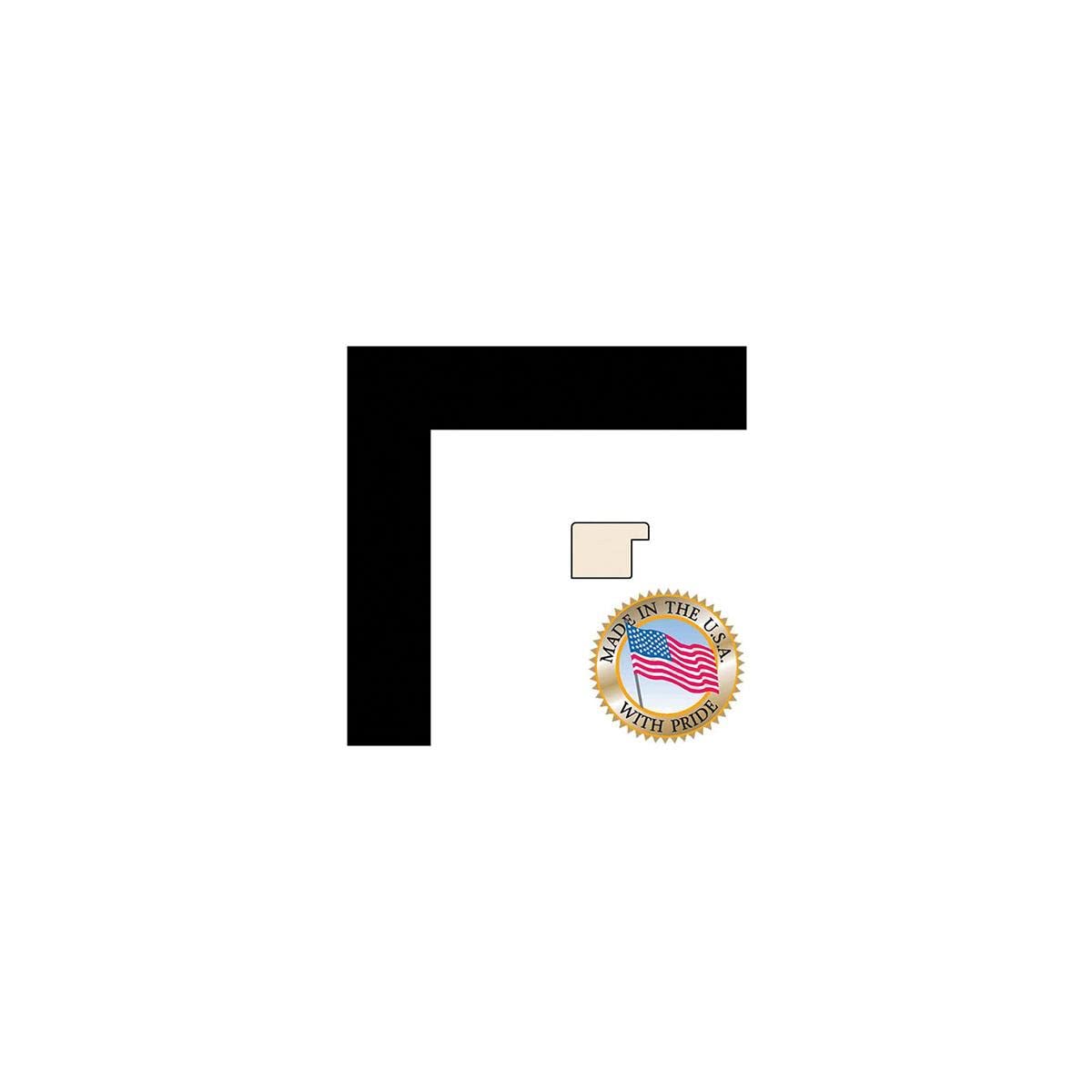 ArtToFrames 8x10 Inch Black Picture Frame, This 1.25 Custom Poster Frame is Satin Black, for Your Art or Photos - Comes with Reg