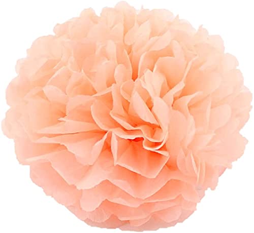 Pack Of 10 Tissue Paper Flower Ball Pom Pom Party Decoration Indoor Outdoor 6'' 8'' 10'' 12'' 14'' (Peach, 12'')