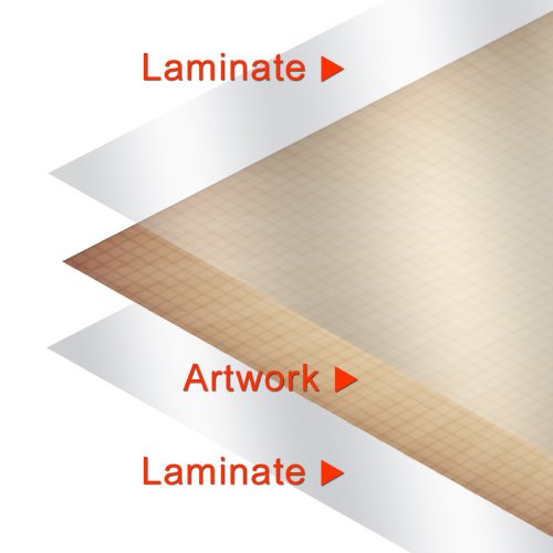 Birds Educational Science Chart Poster 24 X 36