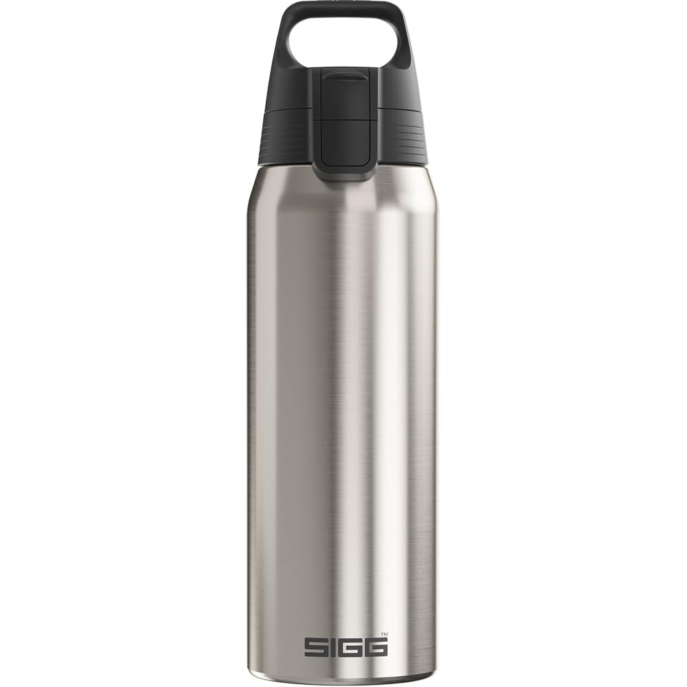 SIGG  Stainless Steel Insulated Water Bottle  Shield Therm One Brushed  Suitable for Carbonated Beverages  Leakproof  Dishw