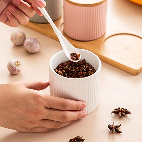 Ceramic Embossed Stripe Sugar Bowl Spice Jar Storage Seasoning Pot With Lid Spoon
