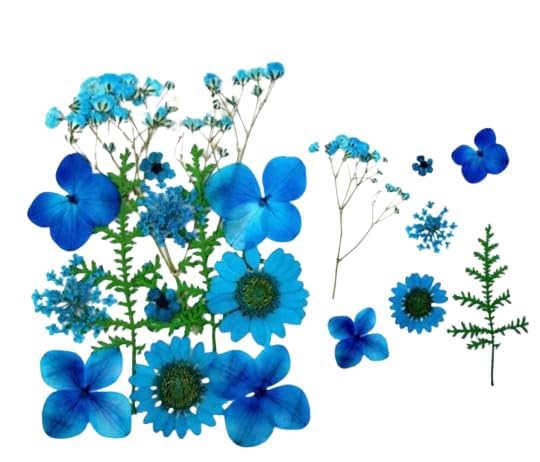 Brightail Infra 14 In 1 Blue Pressed Flowers For Resin Art Craft Soap, Candle, Scrapbook, Nails Diy, Resin Tray Jewellery, Penda