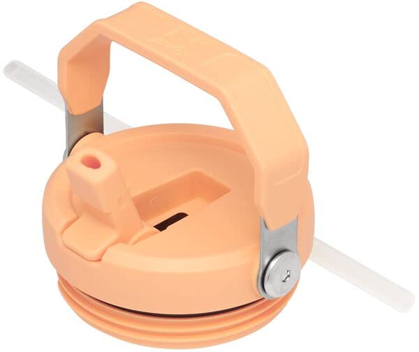 Stanley Iceflow Stainless Steel Tumbler - Vacuum Insulated Water Bottle For Home, Office Or Car Reusable Cup With Straw Leak Res