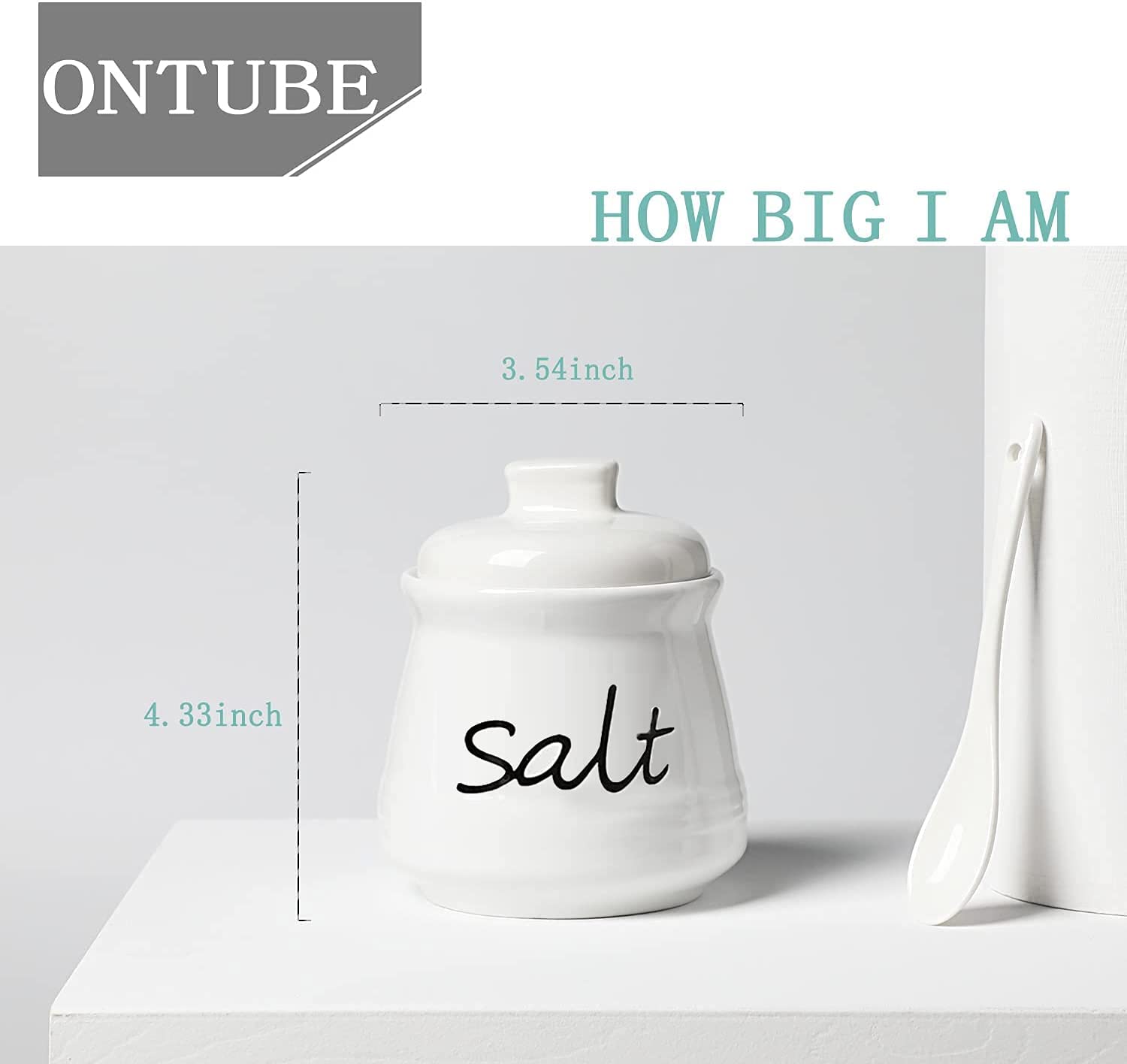 Ontube Ceramic Salt Bowl With Lid And Spoon 12Oz (White)