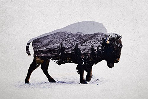 Rustic Double Exposure Elk, Bison, Wolf And Bear Landscape Set; Cabin Lodge Decor; Four 10X8In Brown Framed Prints; Ready To Han