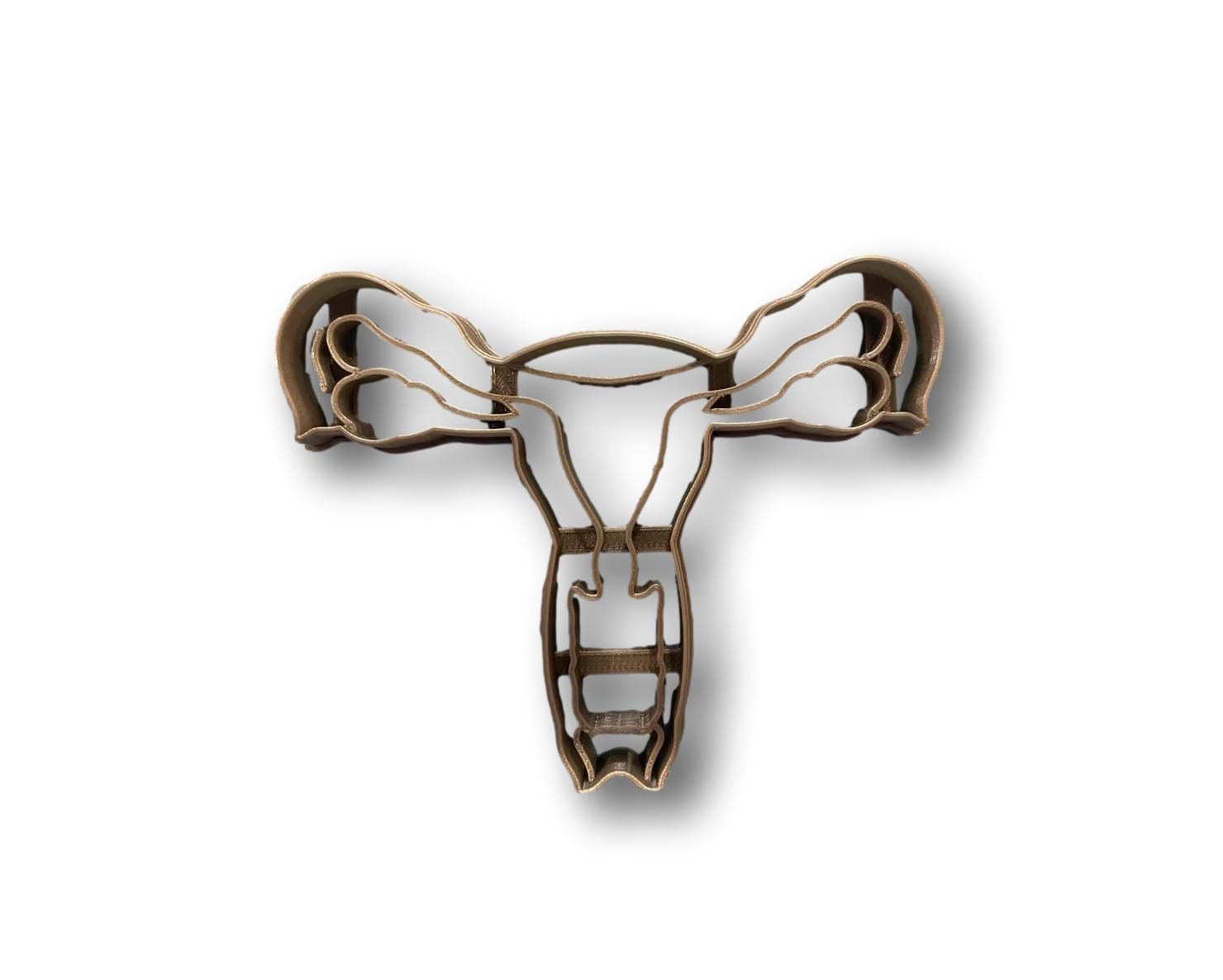 Female Anatomy Cookie Cutter