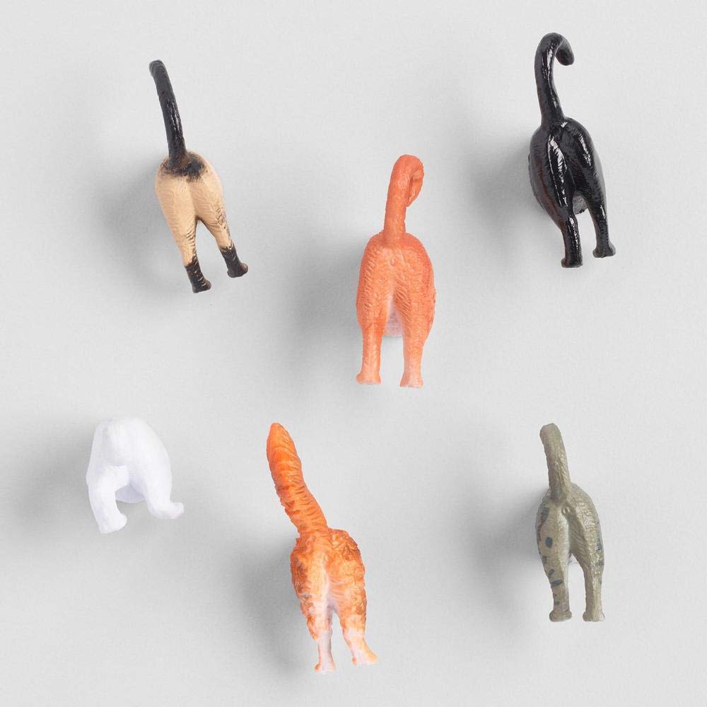 KIKKERLAND Magnets Cat Butt Set Of 6, 1 EA