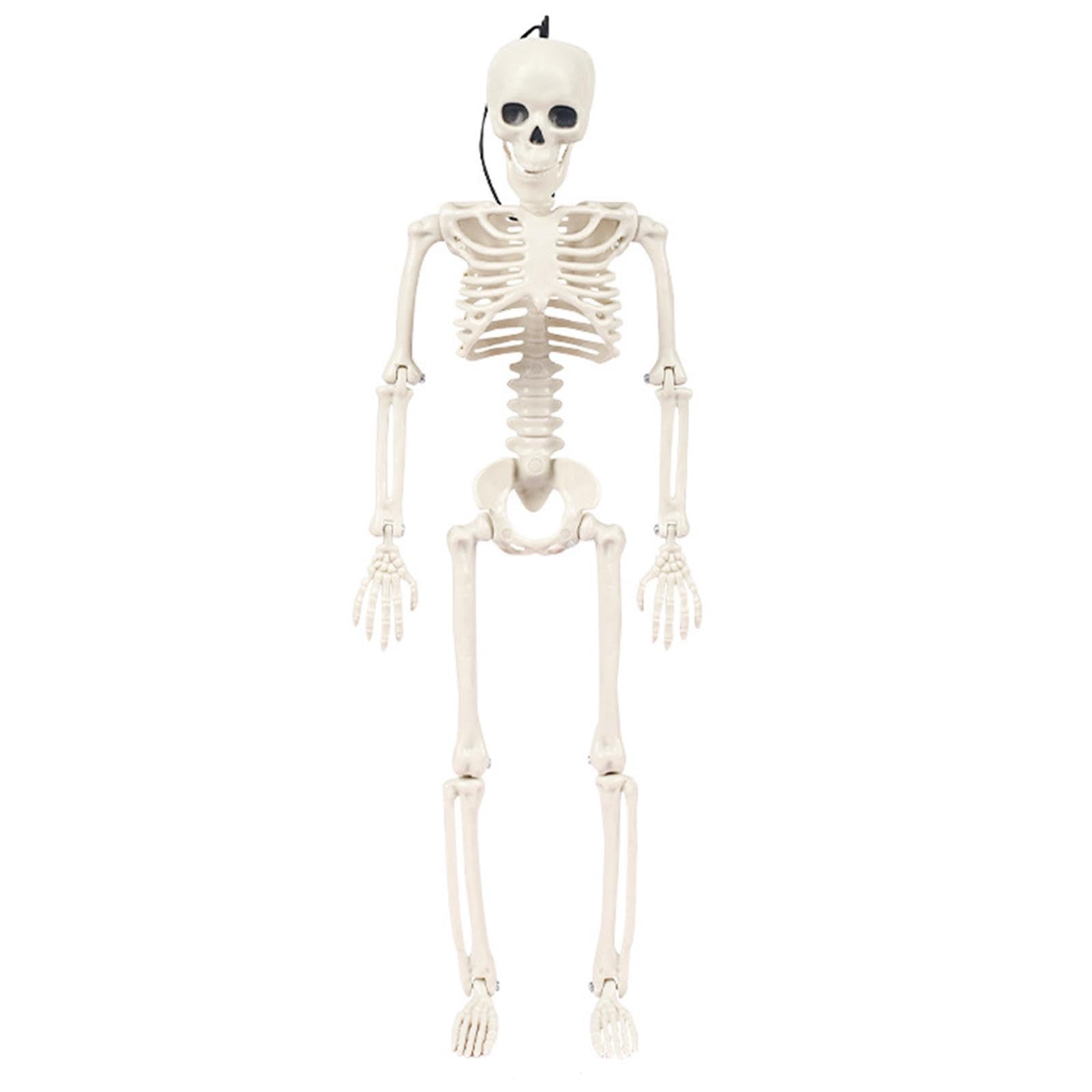 ECOMISTIQ Decoration Scary Model Favors Poseable|Photobooth Props|Party Supplies|Art & Craft Supplies|Craft Materials