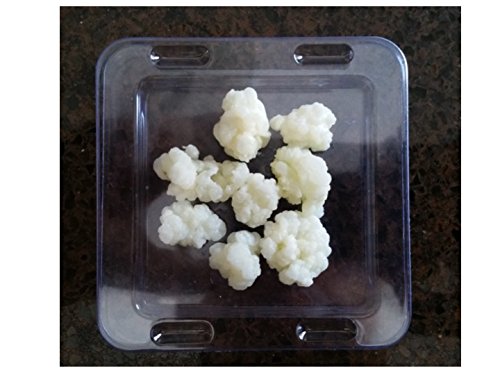 Kefir Fermenter: Parts Set For Use With Jar (Wide Mouth) You Already Have With Kefir Grains