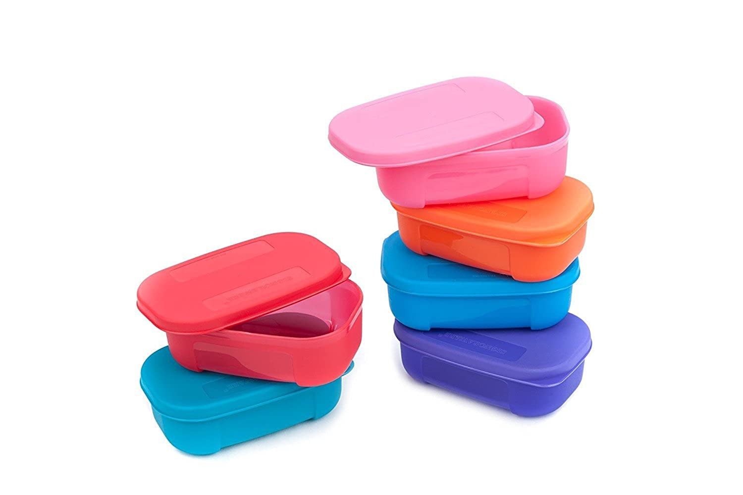 Signoraware Icy Cool Bpa Free Plastic Containers Set | Airtight & Leakproof | Microwave Safe | Compact & Easy To Clean | Ideal F