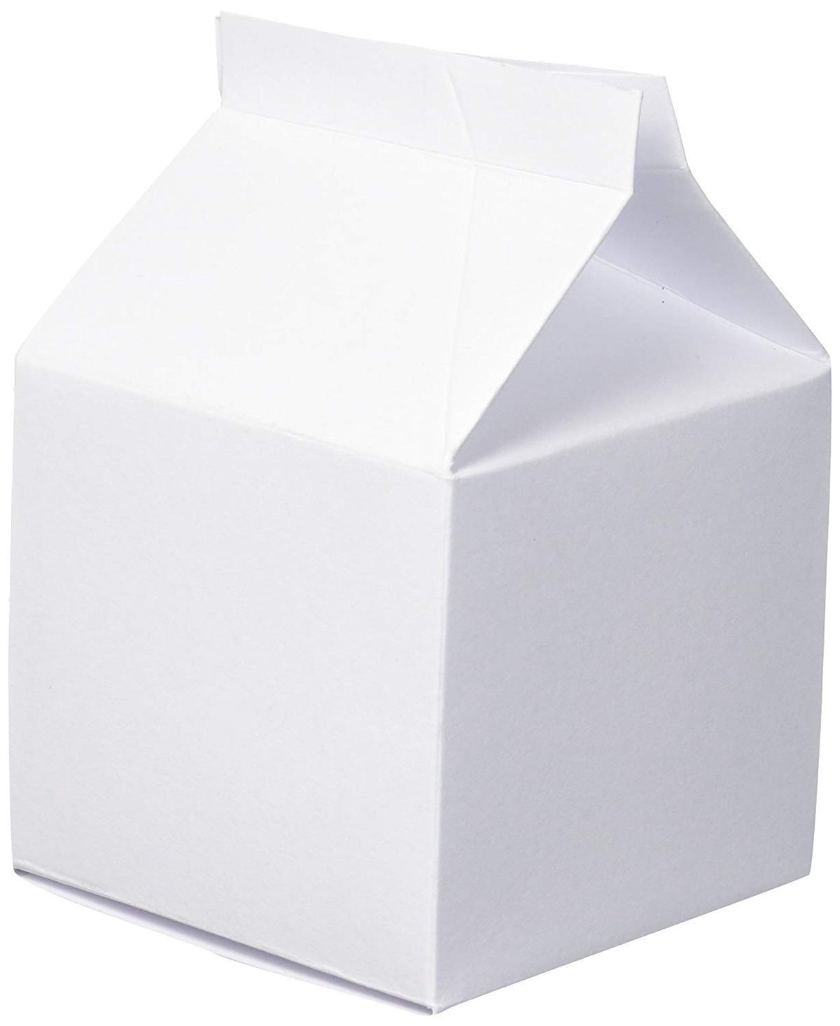 Darice White Party Favor Milk Cartons, 24 Piece