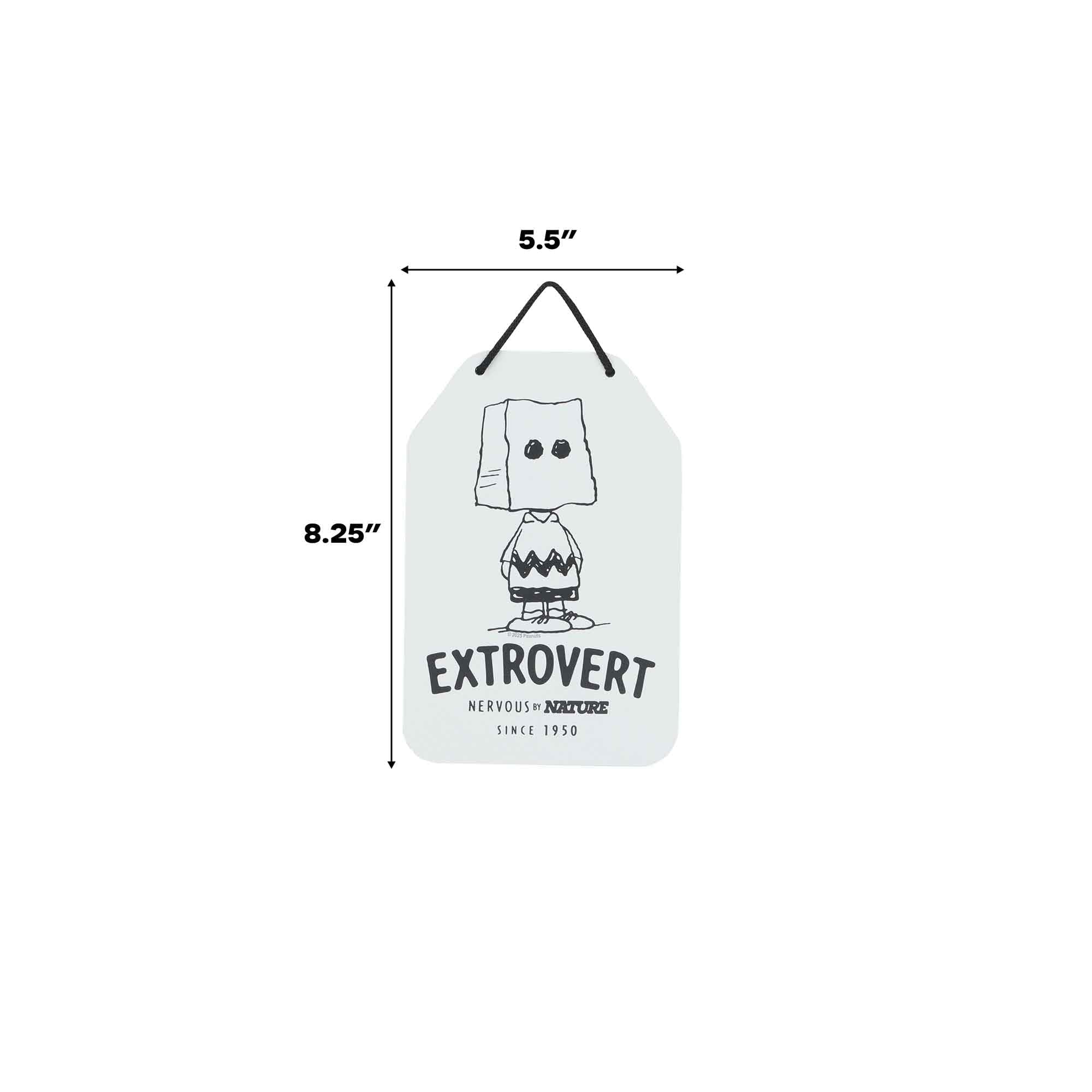 Peanuts Charlie Brown Extrovert Hanging Metal Sign - Funny Charlie Brown Wall Decor for Home - Great Gift Idea
