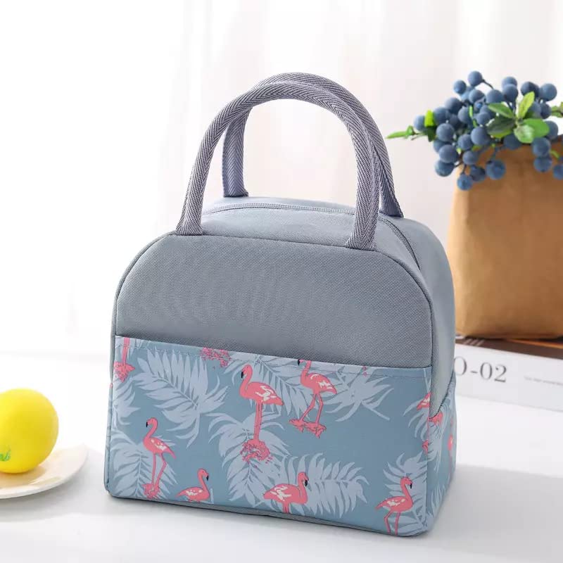 Bluwings Travel Lunch Bags Small For Women Work, Student Kids To School LeakProof Hot Cold Lunch Bag Reusable Tote Bag With Alu