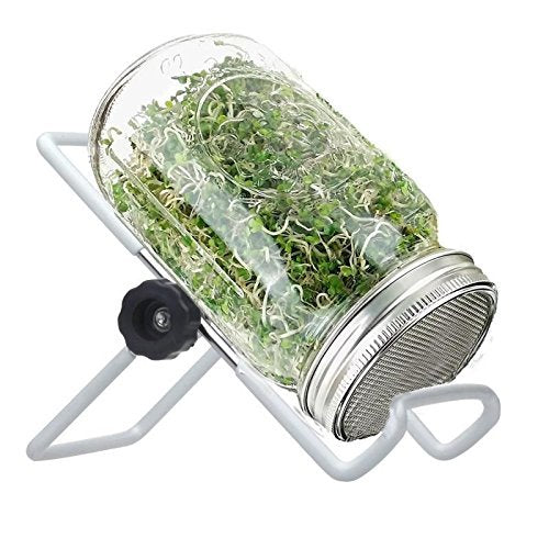 2 Pcs Stainless Steel Sprouting Jar Lids With 2 Pcs Stainless Steel Sprouting Stands For Wide Mouth Mason Jar(Jar Not Included)