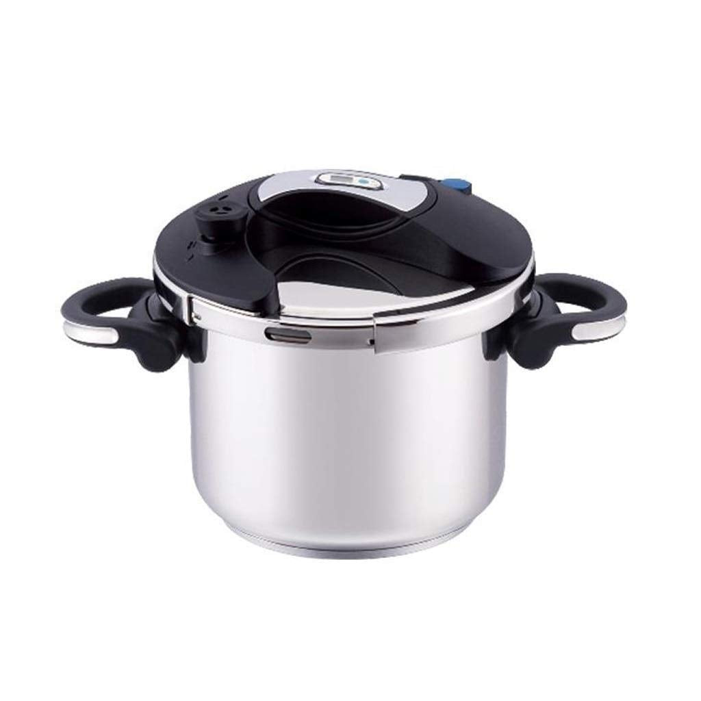 BFGRDDW Fast Slow Pro Multi Function Cooker Polished Aluminum Pressure/Cookware, Silver