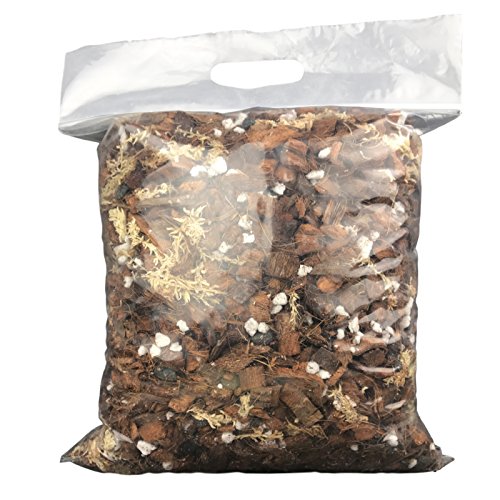 Phalaenopsis Dark classic Orchid Mix (Junior Bag (4 Quarts))