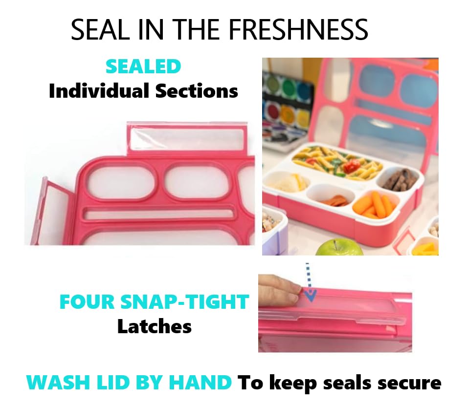 Bento Lunch Boxes With Bags Ice Packs | Bento-Box Insulated Bag Ice Cold Pack Set Of Two For Kids Adults | Value Container Set F