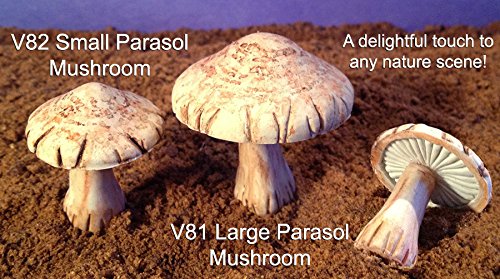 Scott Clark Woolley Large Parasol Mushroom Mold