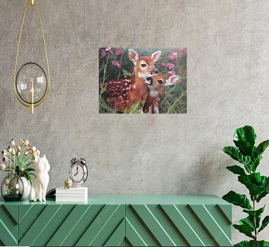 Wild Animal Whitetail Mule Deer Fawn Wall Decor Art Print Poster (16X20)