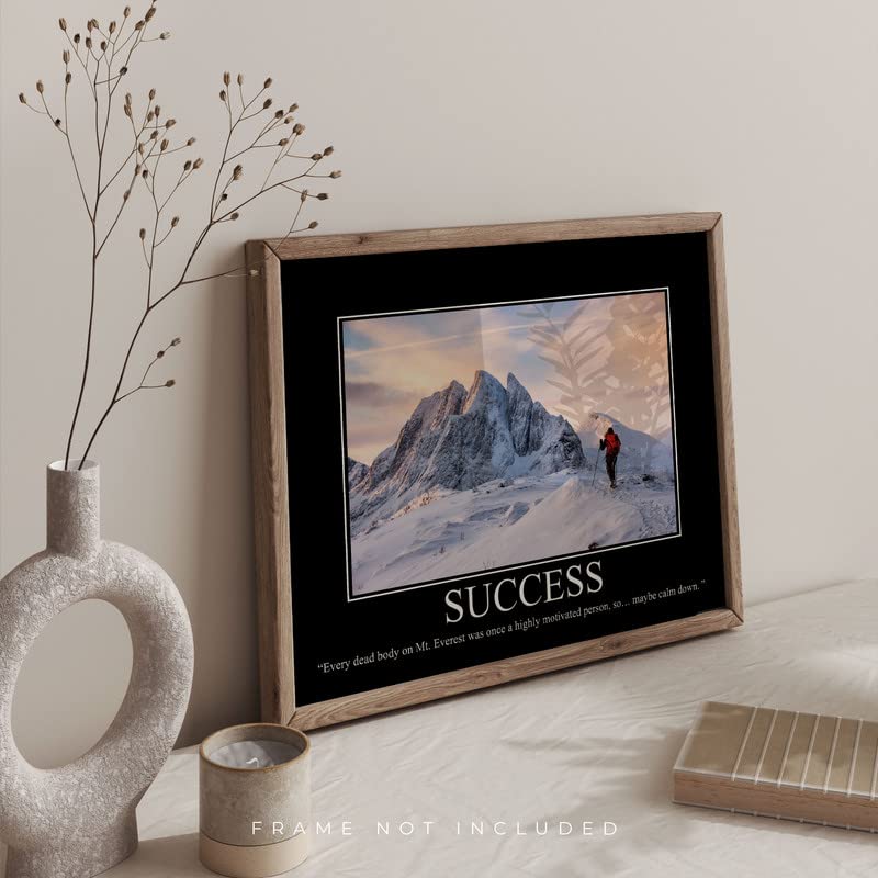 Success Demotivational Poster Snarky Ironic Funny Sarcastic Office Wall Decor Art Print 11X14 Inches Unframed