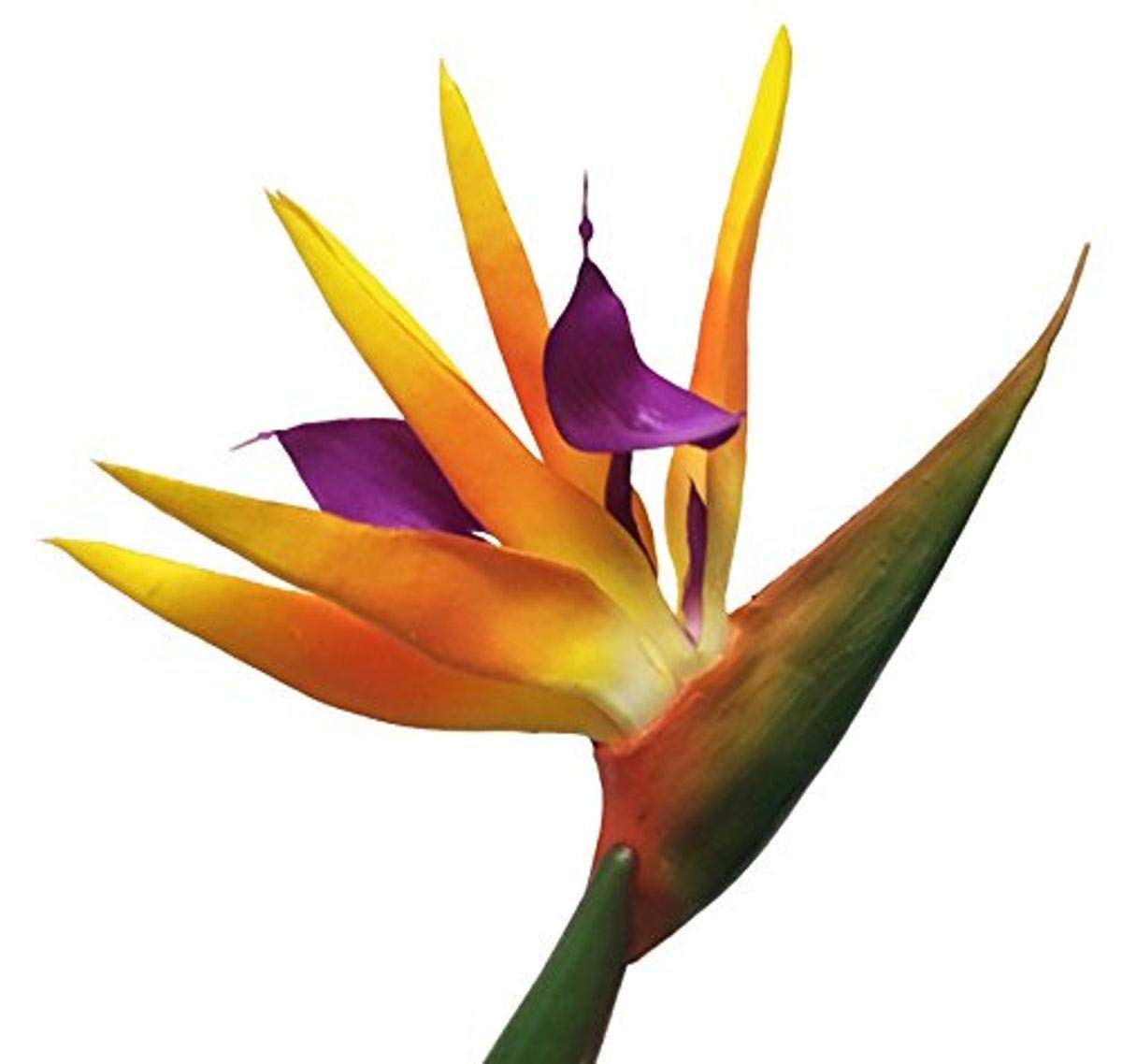 AMERIQUE Gorgeous Pack of Three (3) Large 43 Real Touch Bird of Paradise Artificial Silk Flower Sprays, Feel Real Tech, Large Pe