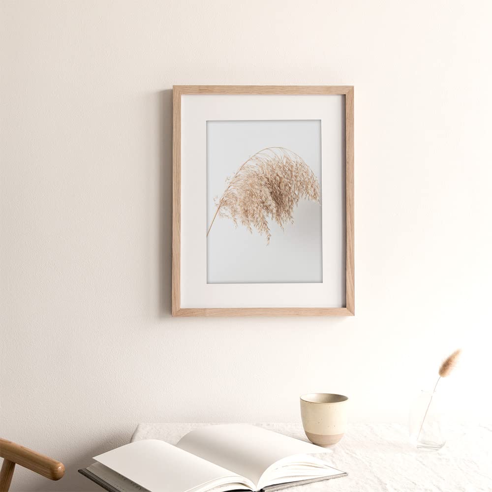 Canssape Set Of 6 Nature Wall Decor Botanical Wall Art Prints 8X10In Beige Sage Green Room Decor Aesthetic Love Wall Decor For B