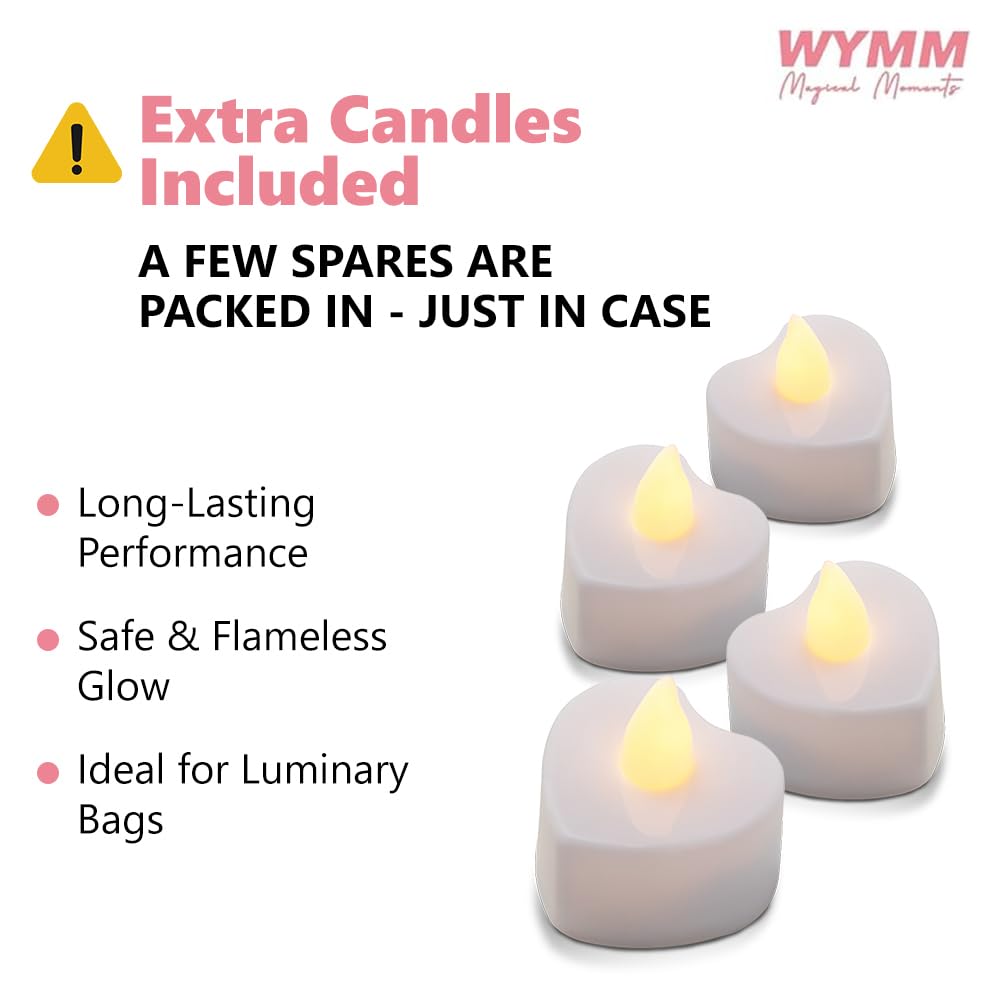 WYMM Feliz Cumpleaos Happy Birthday Light Up Letters in Spanish - Luminary Bags Happy Birthday Decorations with Tea Lights Candl