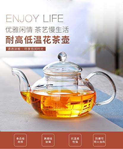 Beylor Clear Glass Teapot Heat Resistant Teapots 800 Ml /27 Oz With Infuser For Tea Leaf Loose Tea (800Ml)