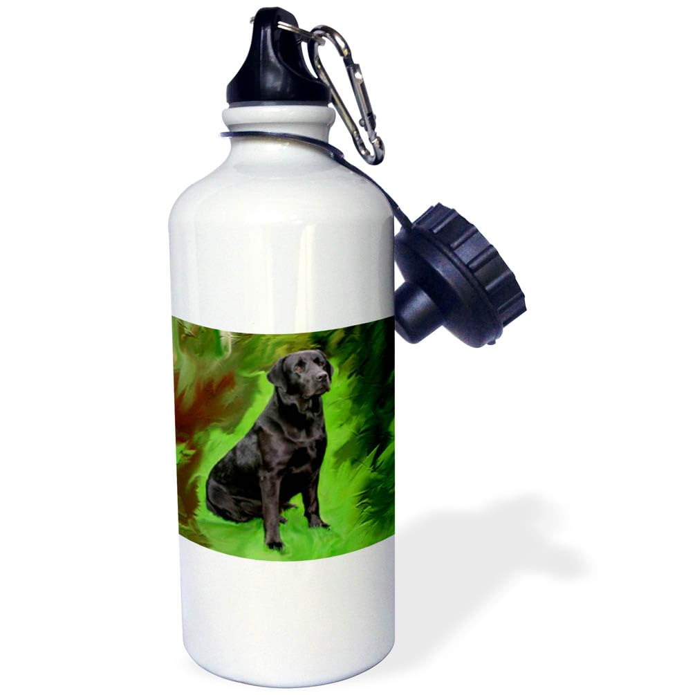 3dRose Black Labrador Retriever Sports Water Bottle, 21 oz, White