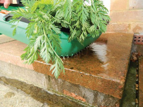 Tierra Garden Gp184 Colander Trug