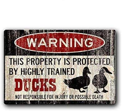 Tin Speaking Fashionable Duck Sign,Duck Eggs,Funny Duck Sign Iron Painting 8X12 Inch Metal Tin Sign