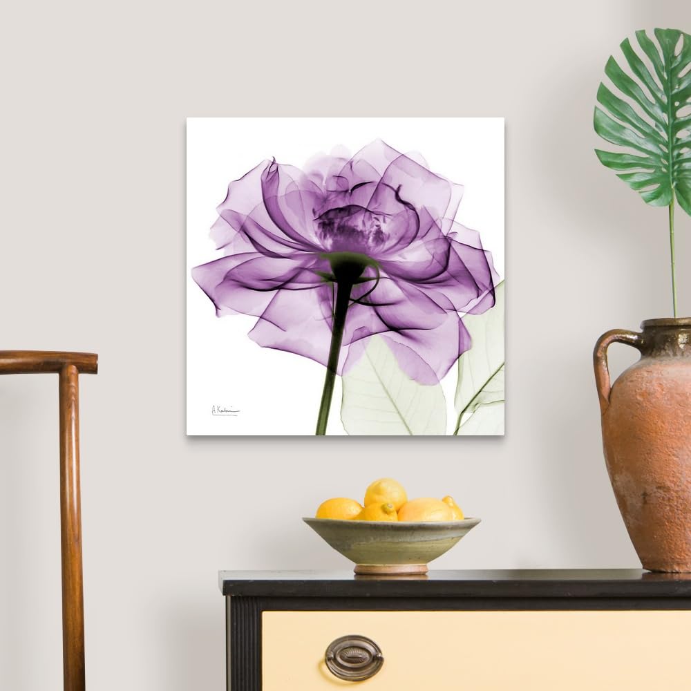 Canvas On Demand Purple Rose X-Ray Photograph Canvas Wall Art Print By Albert Koetsier, Home Decor, Artwork, 20''X20''