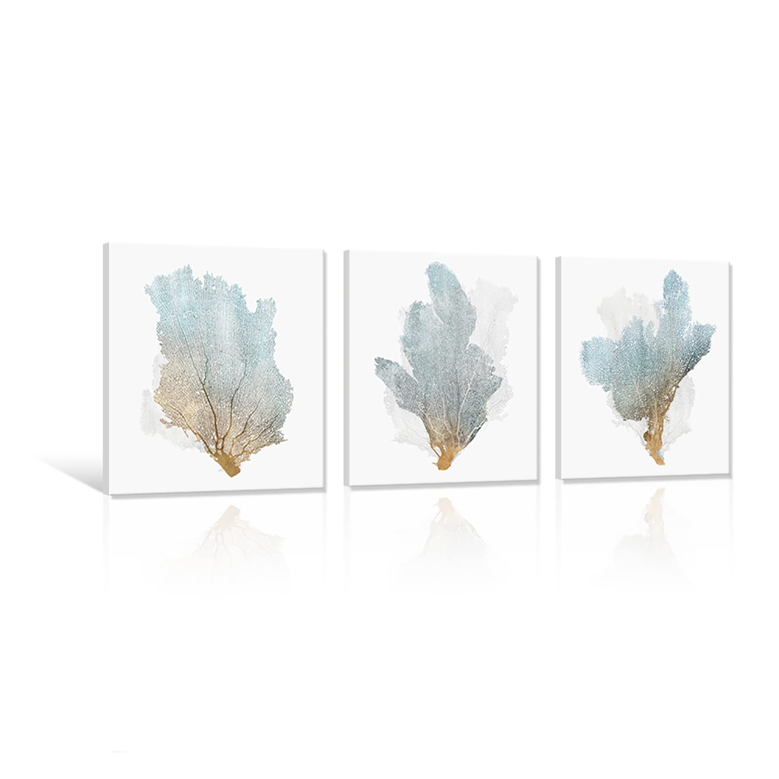JAPO ART 3 piece Delicate Coral Wall Decor for Bedroom Coastal Wall Art Home Decor Framed Sea Fan Pictures Nautical Prints Artwork for Wall Art sets of 3 for bathroom 16 x 16 inch x 3 pcs