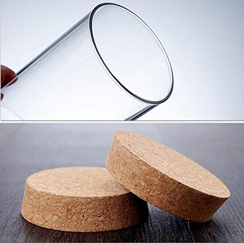 Xingzi Kitchen Storage Containers With Cork Lids Set Of 2 300Ml/10Oz Durable Refillable Clear Glass Food Canisters Storage Conta