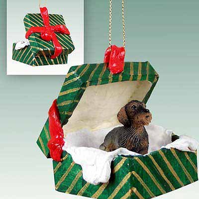 Conversation Concepts Wire Haired Dachshund Gift Box Christmas Ornament Red - Delightful!