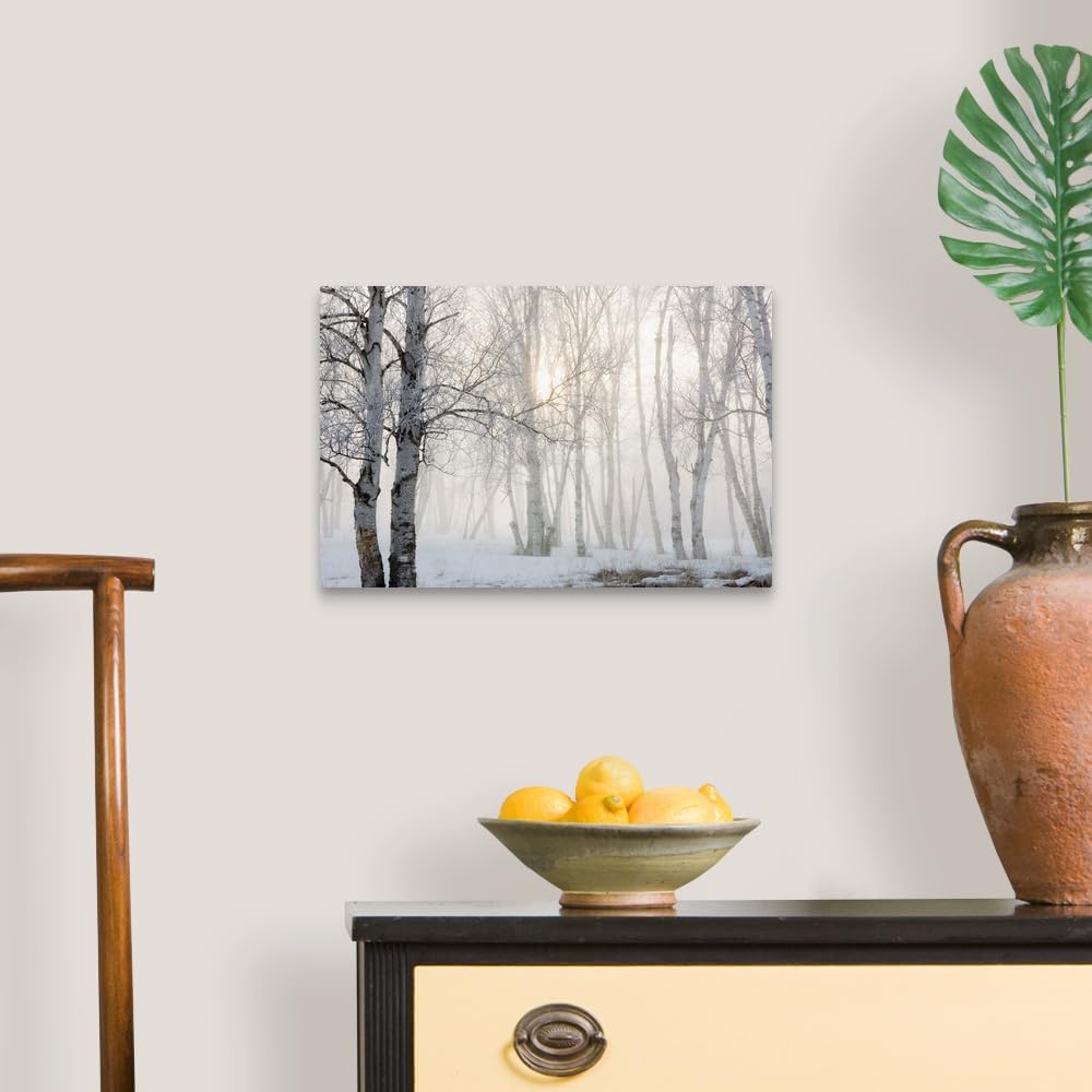 Canvas On Demand Ontario, Canada, Birch Trees In The Fog Canvas Wall Art Print By Susan Dykstra, Home Decor, Winter Artwork, 18'