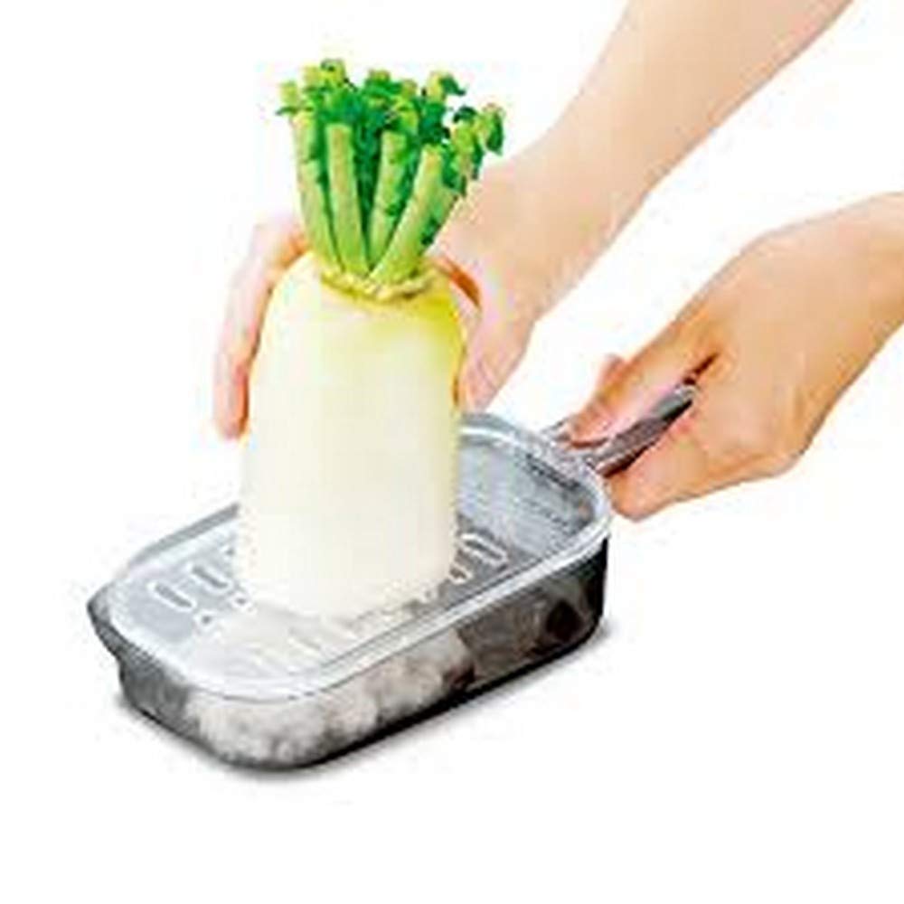 Japanbargain 1817, Large Japanese Kitchen Zester Grater Daikon Radish Grater Ginger Garlic Onion Wasabi Grater With Container, M
