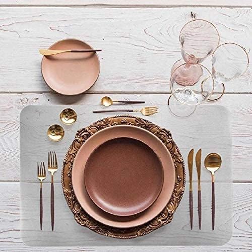 Yoleshy 6 Pcs Plastic Placemats, Heat Resistant Washable Table Mats For Dining, Kitchen (17 ' ' X 11 ' '), Clear