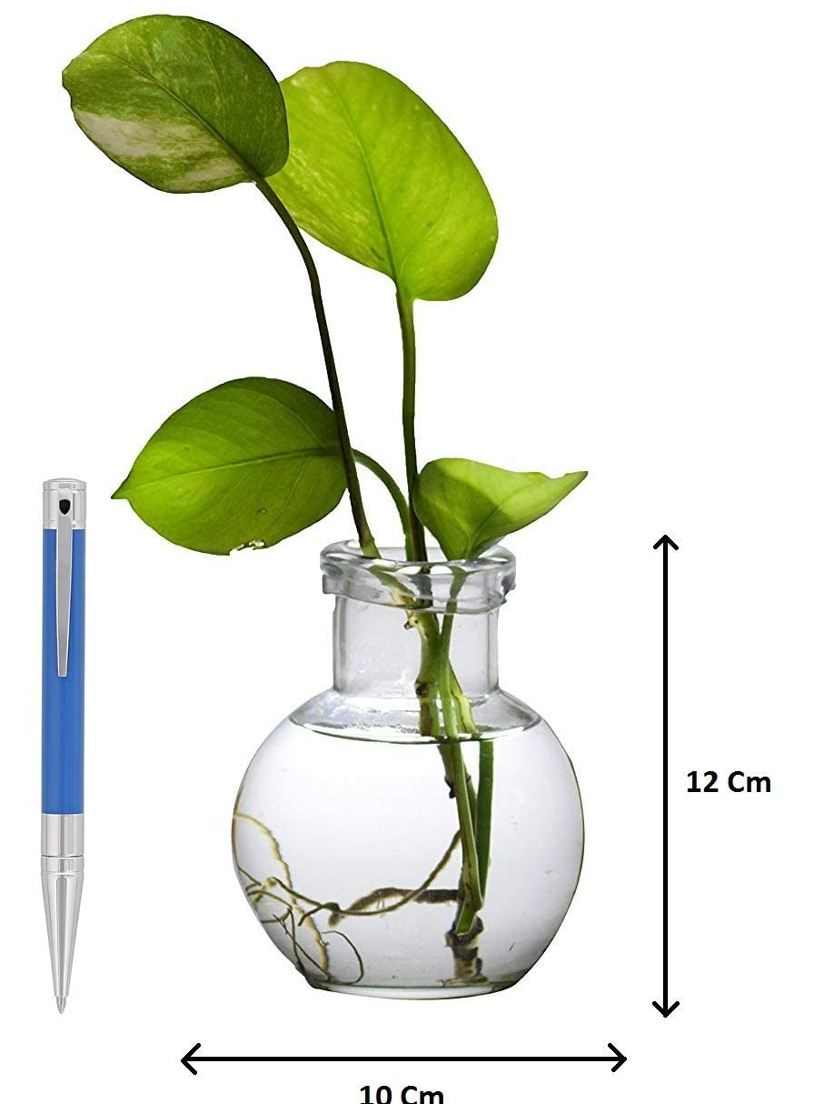 Mithila Handicrafts 4.7 Inch Ball Shaped Round Glass Vase | For Money Plant | Lucky Bamboo Plant | Elegant Vase | Flower Pot | 1