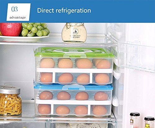 Styleys Double Layer Plastic 32 Grid Egg Storage Box For Refrigerator Kitchen With Lid (Pink_S11063, Square)