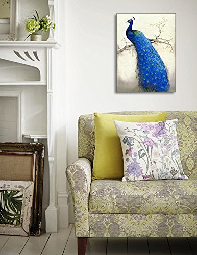 Peacock Wall Art Decor For Bedroom, Piy Hd Beautiful Oil Painting Canvas Prints Of Elegant Proud Peacock On Beige Pictures (1''