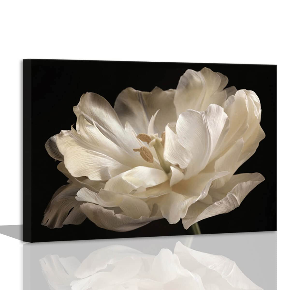 Black Bathroom Decor - White Tulip On Black Background Modern Canvas Wall Art Bathroom Decor Wall Art Black Decor Bathroom Pictu