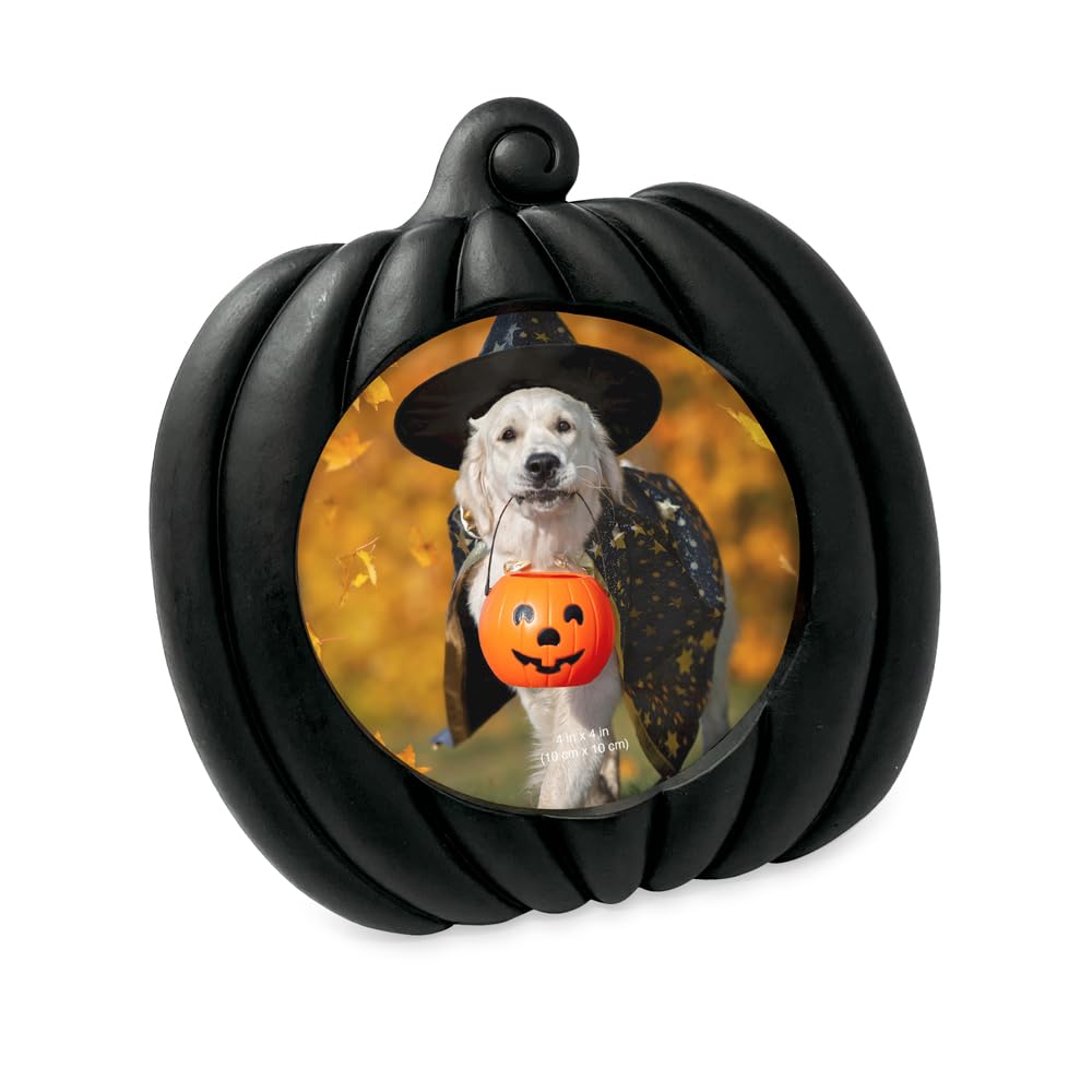 Isaac Jacobs 4x4 Pumpkin-Shaped Picture Frame For Halloween Or Fall D  cor, Photo Tabletop & Wall Display Hanging Display (4x4, 