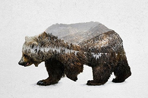 Rustic Double Exposure Elk, Bison, Wolf And Bear Landscape Set; Cabin Lodge Decor; Four 20X16In Fine Art Paper Prints