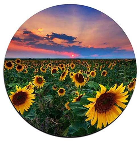 Sunflower Round Coaster Set - Made Of Recycled Rubber - Set Of 4
