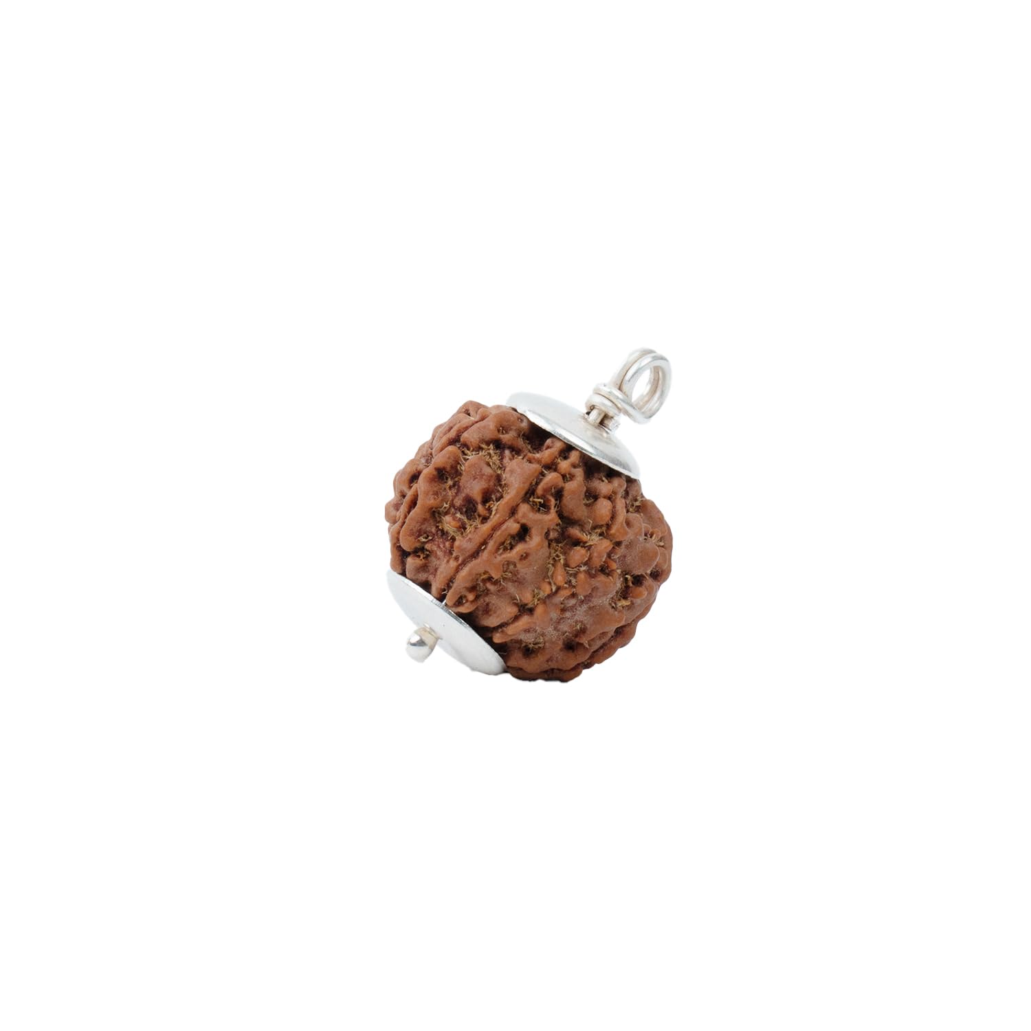 Astrotalk Nepal Origin 7 Mukhi Rudraksha with Silver-Capping | Attract Wealth & Prosperity | Financial Stability, Inner Peace & Spiritual Growth | Sacred Rudraksha Bead for Women & Men