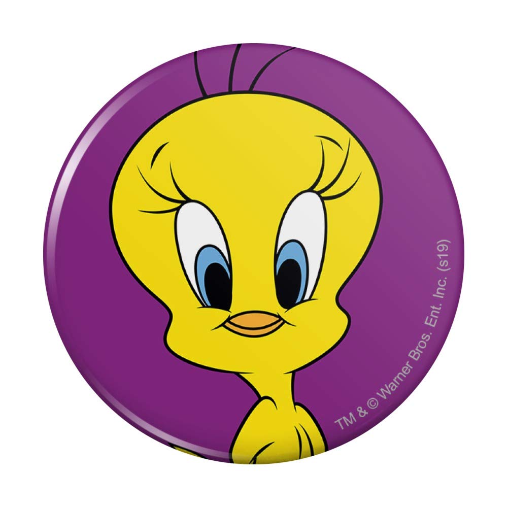 Looney Tunes Tweety Bird Kitchen Refrigerator Locker Button Magnet